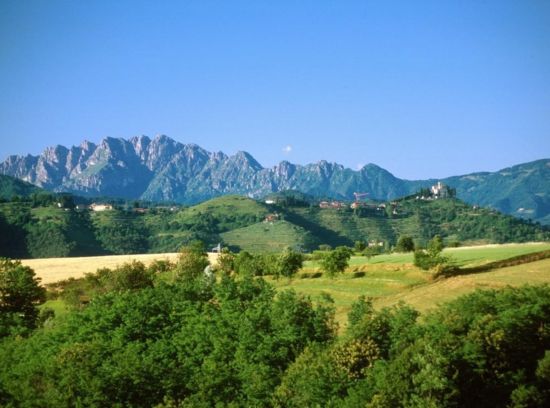 verde brianza